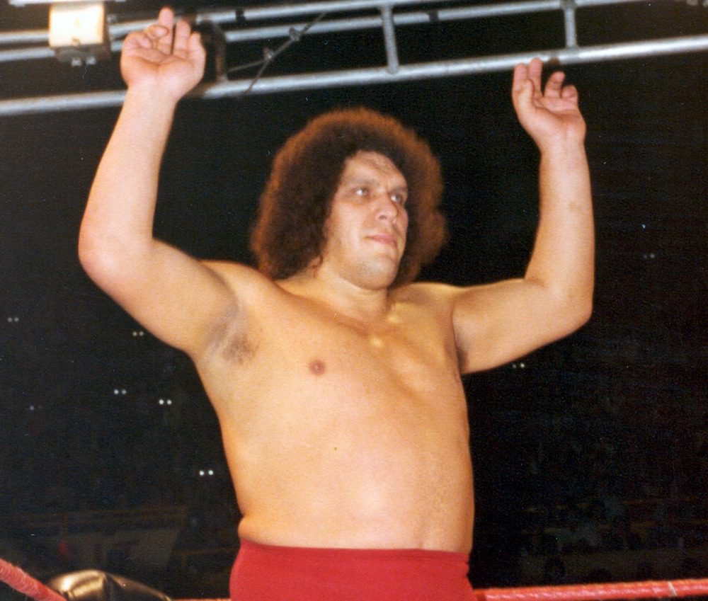 Andre the Giant