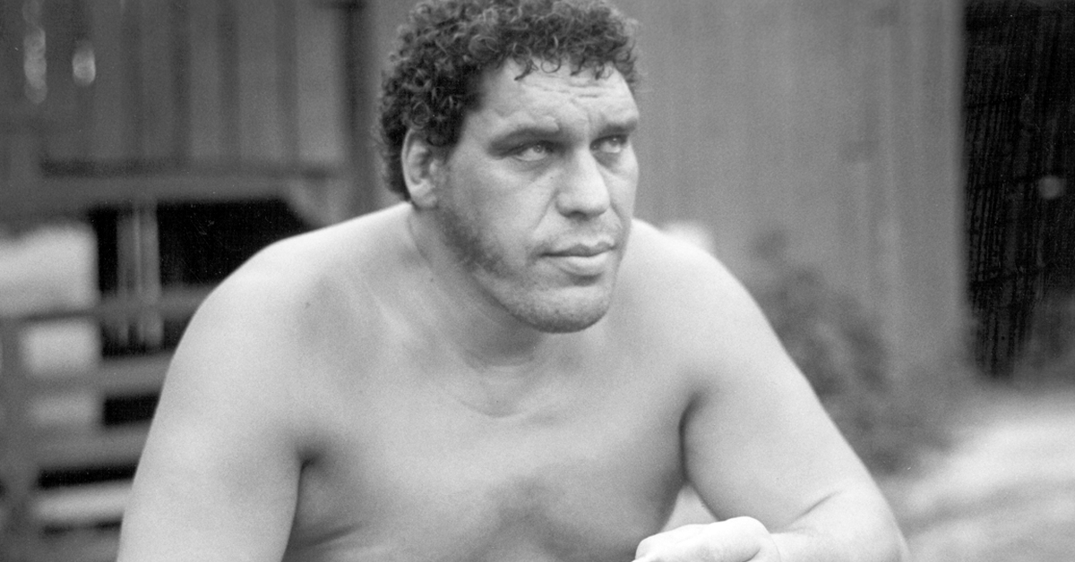 You are currently viewing Andre the Giant & Fred Savage