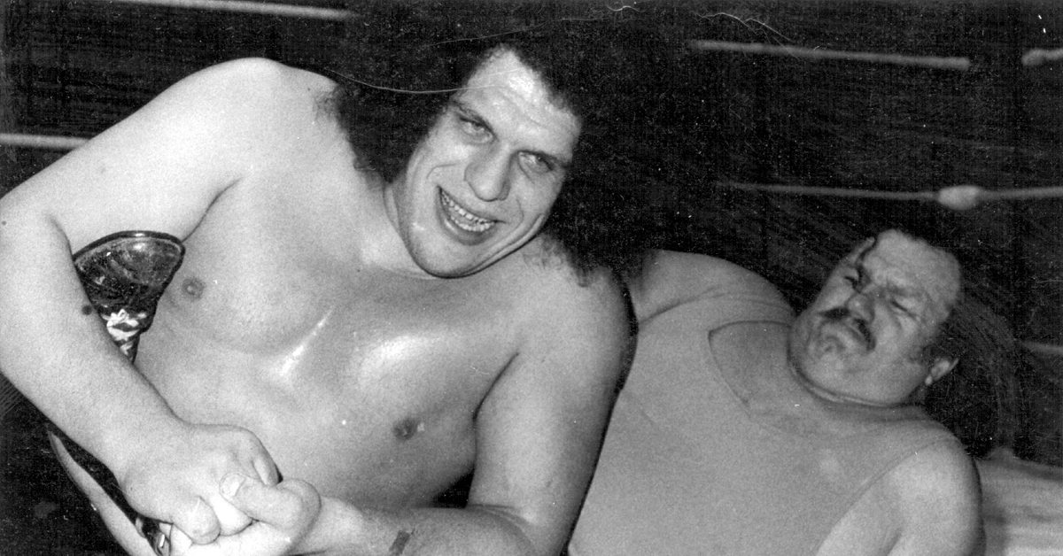 Read more about the article Andre the Giant’s Hand Size