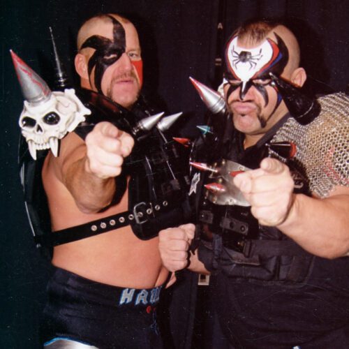 Road Warrior Hawk Cmg Worldwide 