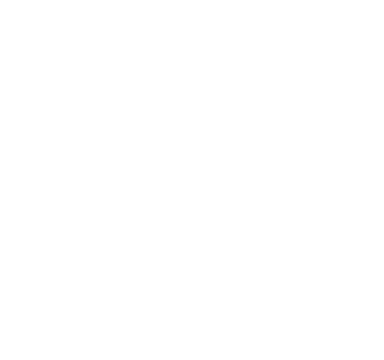 Roots Of Fight